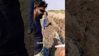 Mp Khandwa pipelines shorts water line construction working [upl. by Ambrogio]