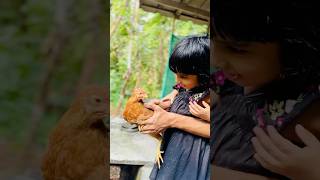 Kozhi veda kozhi 🐔shorts shortfeed yt [upl. by Ynnek]