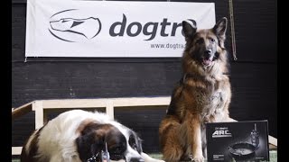 Dogtra ARC Ecollar Dog collar Reviewed by Americas Canine Educator [upl. by Otreblasiul674]