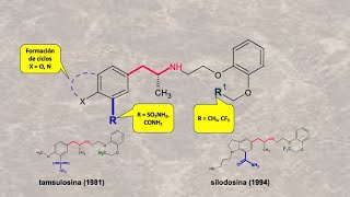 SolifenacinaTamsulosina padecimientos urinarios síntesis introduccuón [upl. by Moran]