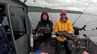 Homer Alaska Fishing 9 24 2024 [upl. by Valleau556]