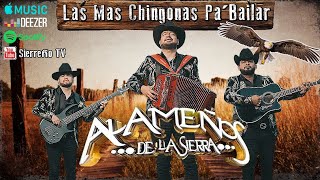 Popurrí Alameños de La Sierra  Las Mas Chingonas PaBailar [upl. by Adleme544]