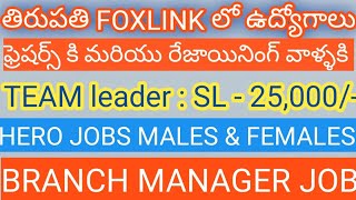 JOBS IN FOX LINK TIRUPATHI  HERO JOBS  LADEOS FEMALES JOBS  ALL DETILES IN TELUGU  BY BALA [upl. by Aitnohs]