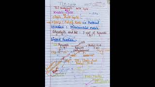 Energetics and Regulation of Glycolysis and TCA cycle [upl. by Cirle]