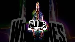 Flo Rida  Wild Ones feat Sia [upl. by Dnomso]