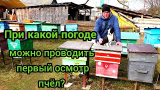 Первый осмотр какая должна быть минимальная температура воздуха [upl. by Peonir598]