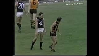 1981 VFL Highlights Rounds 1 to 11 [upl. by Ahmad815]