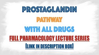 Prostaglandin Synthesis pathway and drugs mechanism of action in details  Pharmacology Drugs series [upl. by Enidaj295]