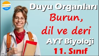 Duyu organları  Burun Dil Deri  11 Sınıf AYT Biyoloji  Özet Tadında  2024 Güncel Müfredat [upl. by Adnawot72]