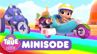 Rainbow Race  NEW Minisode  True and the Rainbow Kingdom  🏎️💨 [upl. by Fachanan]