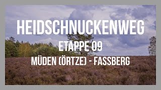 Heidschnuckenweg  Etappe 09  Müden Örtze  Fassberg  Lüneburger Heide  GPSTrack [upl. by Ynohtnael174]