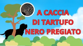 A caccia di TARTUFO nero PREGIATO [upl. by Carder988]