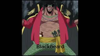 Whitebeard ☠️ whitebeard blackbeard marcocarlo [upl. by Navoj981]