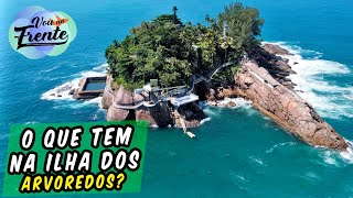 TUDO SOBRE A MISTERIOSA ILHA DOS ARVOREDOS EM GUARUJÁ  SP [upl. by Desiri]