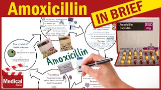 Amoxicillin 500mg Capsule What is Amoxicillin Used For Dosage Contraindications amp Precautions [upl. by Procto7]