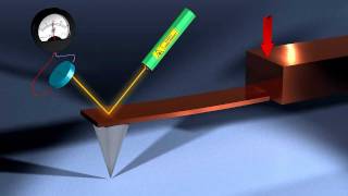 Virus Nanoindentation by AFM [upl. by Irroc]