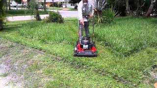 TROYBILT SELFPROPELLED LAWN MOWER does the job [upl. by Nolram]