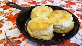 2 Ingredient Biscuits  The Hillbilly Kitchen [upl. by Nnylecoj]