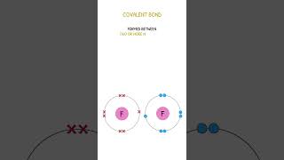 GCSE Chemistry Revision  Types of Bonding [upl. by Ludeman288]