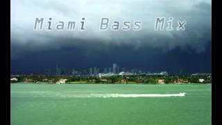 Leeroy Thornhill  Miami Bass Mix [upl. by Kurtis]