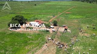 Fazenda a Venda em Campina Verde  MG  Triangulo Mineiro  Minas Gerais [upl. by Neffets]