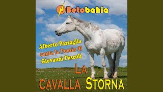 La Cavallina Storna [upl. by Rumit]