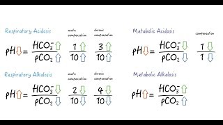 Easy rules for assessing metabolic compensation [upl. by Gnurt]