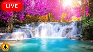 🔴 Study Music 247 Concentration Focus Music Relaxing Music Meditation Work Calm Music River [upl. by Downes]