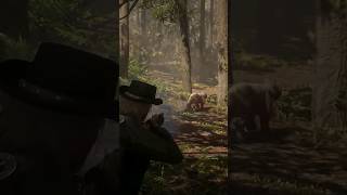 Pure Panic Mode for the Florida Panther  Red Dead Redemption 2 rdr2 shorts [upl. by Nosauq]