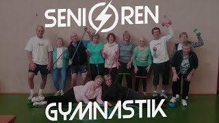 Seniorengymnastik mit dem Overball [upl. by Johnnie605]