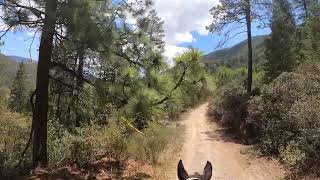 Caballo en Bosques de Monterreal [upl. by Dacia]