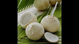 AMAZING AND REFRESHING Coconut peeling in the middle of the Coconut Farm ASMR [upl. by Leopoldeen]