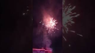 Damodar City Labasa Fireworks 2024 [upl. by Ilellan]