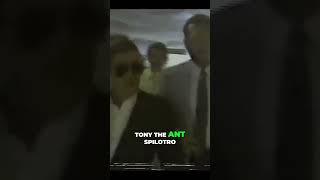 Anthony Spilotro Chicago Mobs Vanished Kingpin chicagooutfit lasvegas mobster tonyspilotro [upl. by Tiraj936]