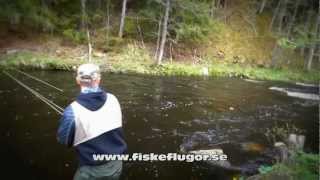 Öringfiske Bernshammar 20120517wmv [upl. by Cir901]