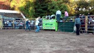 Borrego de pedernales Michoacán vs el desconocido [upl. by Stoughton]