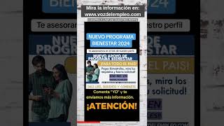 Montos e información de este apoyo bienestar para todo el pais [upl. by Aikcin]