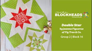 Blockheads 5  Group 2  Block 16 Double Star by Joanna Figueroa of Fig Tree amp Co [upl. by Anetsirk]