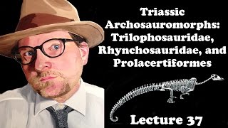 Lecture 37 Triassic Archosauromorphs [upl. by Nnylatsyrc]