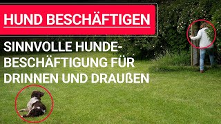 🐶 Hund beschäftigen ➡️ Sinnvolle Hundebeschäftigung für drinnen und draußen 🐶✔️ [upl. by Middleton492]