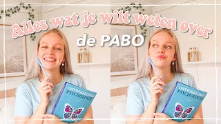 ALLES wat je wilt weten over de PABO  Toelatingstoetsen wiscat lessen  BACK TO SCHOOL 2021 [upl. by Erwin]