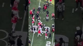 Michigan Student Stops Ohio State Players from Destroying the Flag 🏈 [upl. by Smaj27]