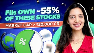 2 stocks with highest FII holdings  Market cap over ₹20000 Cr [upl. by Staford]