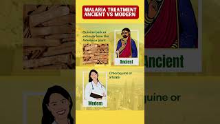 Malaria ancient remedies modern medicine [upl. by Holmen]