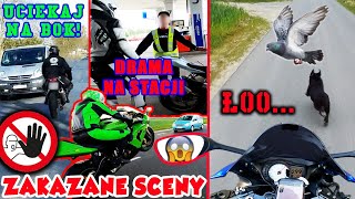 Gołąb urwał kamerę Mocne treści  Zakazane Sceny 3 Moto Addicts  Moto vlog [upl. by Haakon]