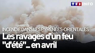 Incendie dans les Pyrénées Orientales  plus de 900 hectares parcours [upl. by Clyde290]