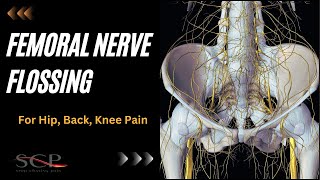 Femoral Nerve Flossing for Hip Back Knee Pain [upl. by Drwde12]