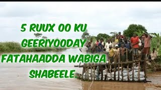 DEGDEG Wabiga Shabeelle oo fatahaad ka sameeyay deegaano hoostaga Baledweyne Qasaaraha Oo Gaaray 👀 [upl. by Tram]