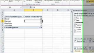 PivotTabellen mit Excel 2010  Teil 02 Daten aktualisieren [upl. by Eyoj]