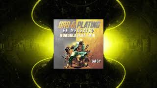 El Meneaito Guadalajara Mix  Gaby amp Big Daddy G [upl. by Eelimaj610]